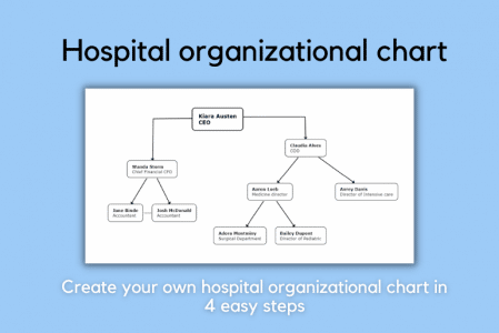 How to Create Your Hospital Organizational Chart in 4 Easy Steps?