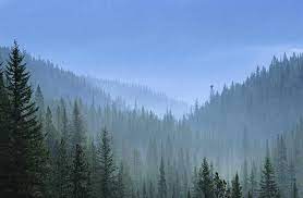 The Taiga is the biggest biome of all. It has two seasons. Cold winters and warm summers. It is mainly found in Russia and Ca