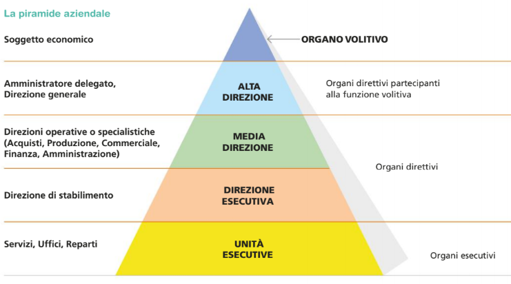 piramide aziendale