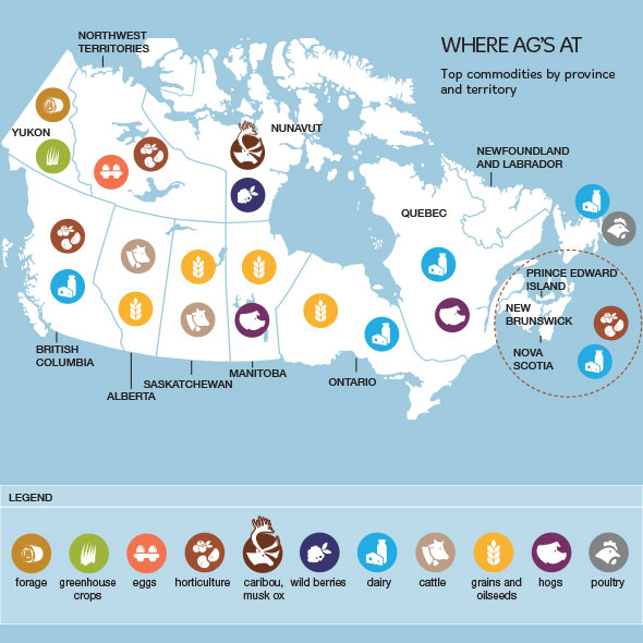 this suggests that we should grow grains and make dairy