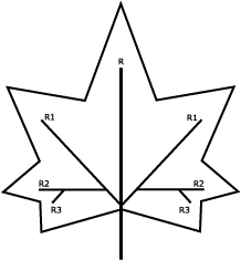 Nervure pédalée