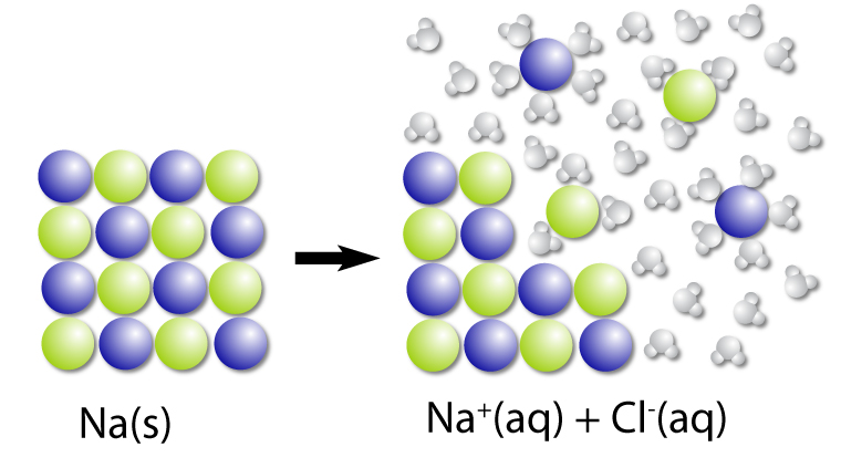 Dissociation: the process where 
ions separate from the crystal 
lattice to dissolve in water