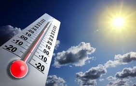 TEMPERATURA: MICROTERMA, POCO RESISTENTE A FORTI ESCURSIONI TERMICHE; TEMPERATURA OTTIMALE 20-22 GRADI CENTIGRADI