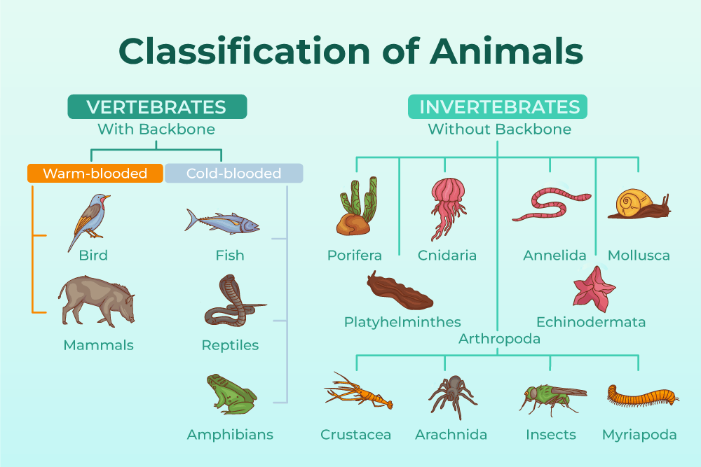 Taxonomic examples: