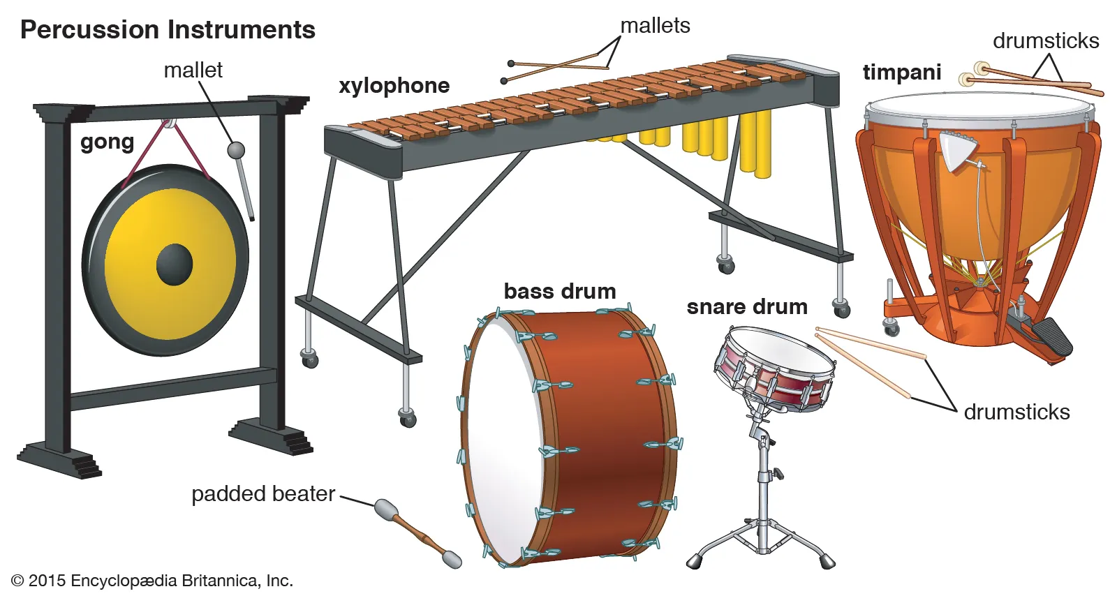 percussion instruments