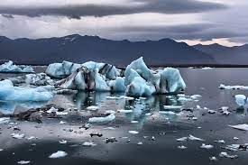 Uno dei luoghi più contaminati della Terra è l'Artico perchè le diossine si spargono per tutto il pianeta e nei luoghi freddi