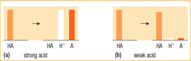 Strength: is how completely a 
compound dissociates in water