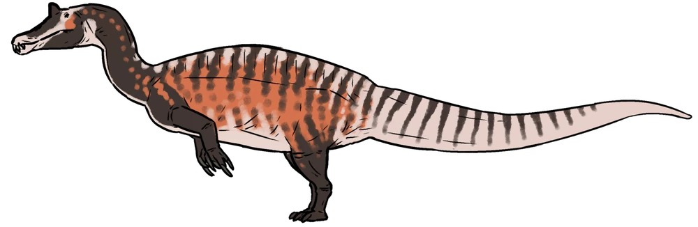 Irritator challengeri