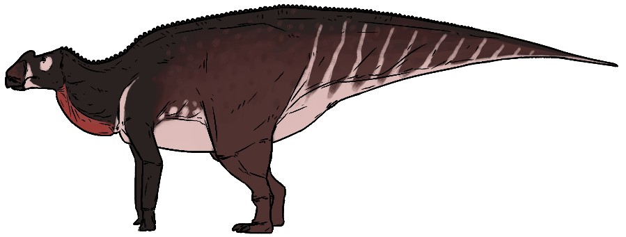 Aralosaurus tuberiferus