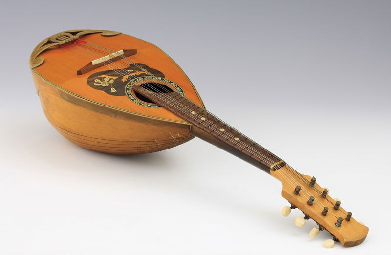 mandolin