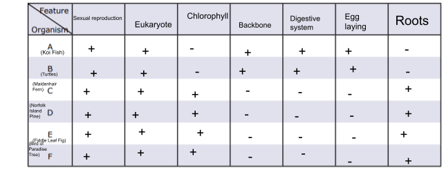 Trait +/- Chart