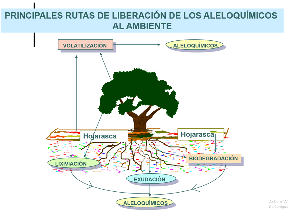 A otros organismos