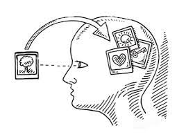 Condiciones que determinan el desarrollo de procesos cognoscitivos y percepción global