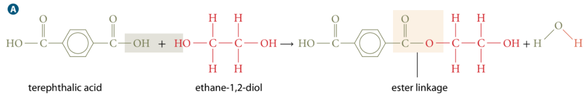 Terephthalic Acid + Ethane-1,2-diol --> Polyethylene Terephthalate + Water