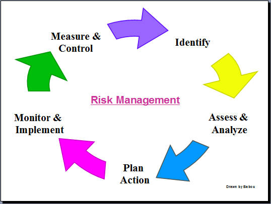 Risk Management