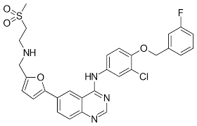 Oral HER-2
Antagonists