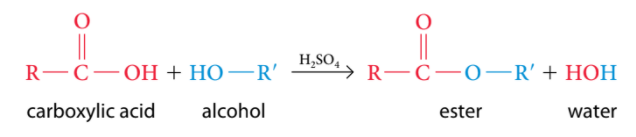 Esterification (ester)