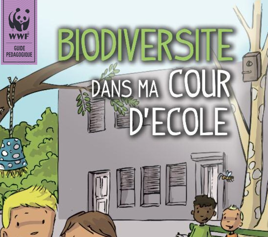 La biodiversité dans ma cour d'école (Réseau École et nature - WWF - pdf 32 p.)