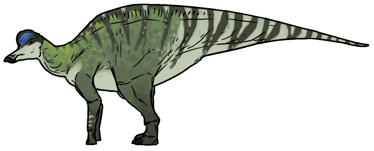 Hypacrosaurus altispinus