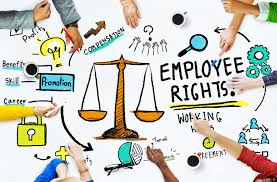 What are employees’ rights?