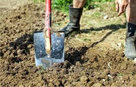 PREPARAZIONE DEL TERRENO: ARATURA E AFFINAMENTO DEL SUOLO