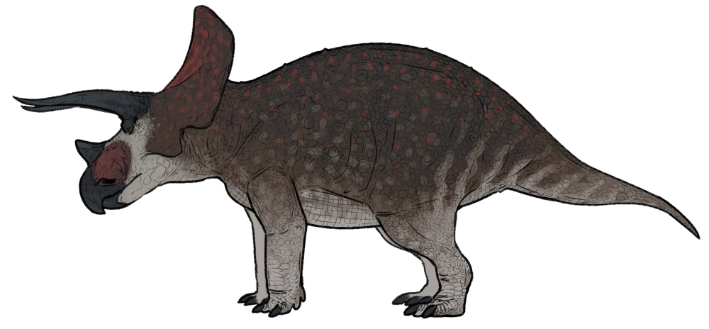 Triceratops horridus