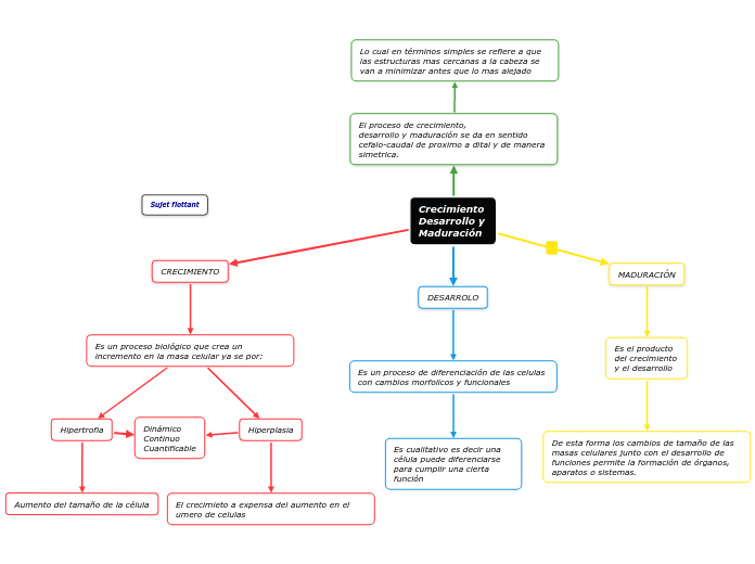 Crecimiento Desarrollo YMaduración - Mind Map