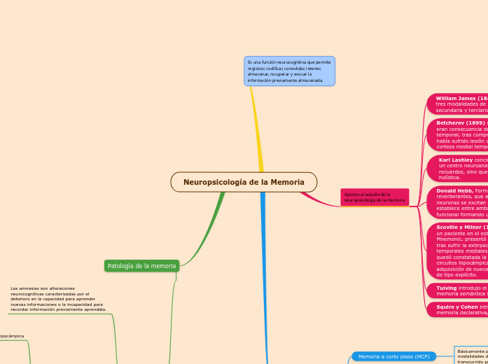 Neuropsicología de la Memoria Neuropsicología de la Memoria