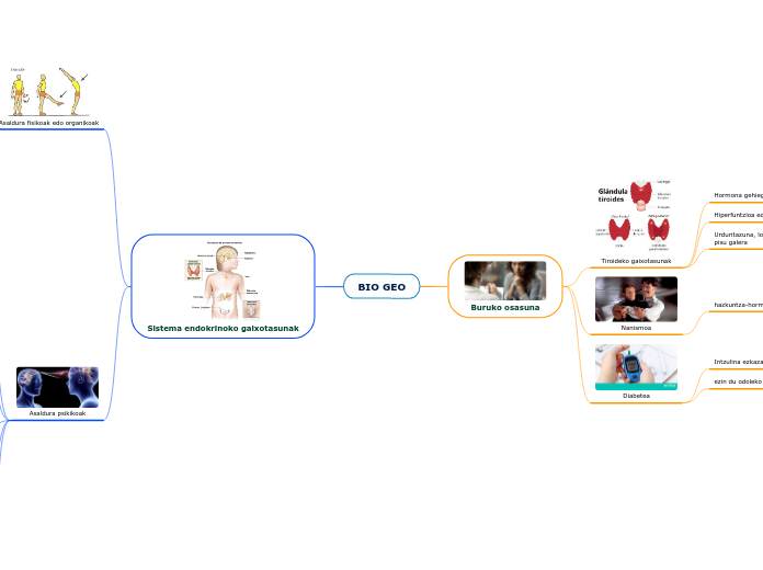 BIO GEO - Mind Map