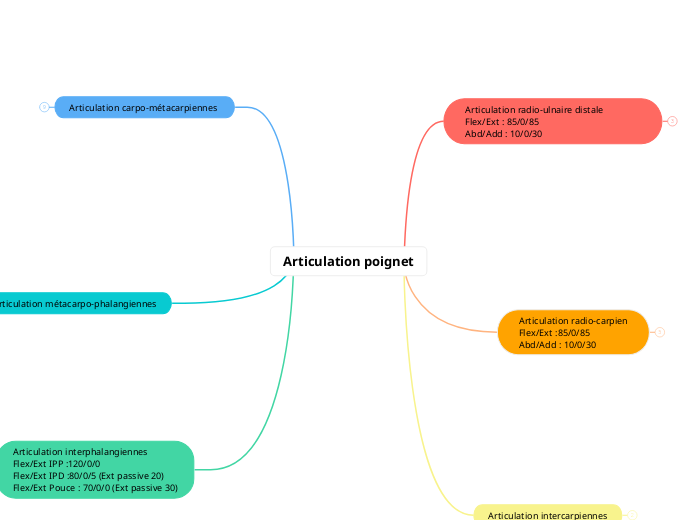 Articulation poignet - Carte Mentale