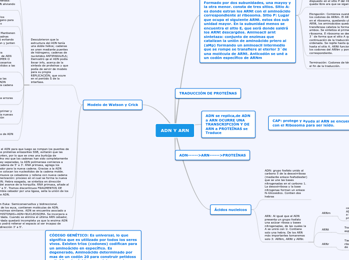 ADN Y ARN - Mind Map