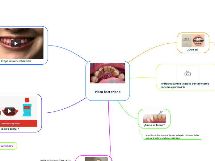 Placa bacteriana - Mapa Mental