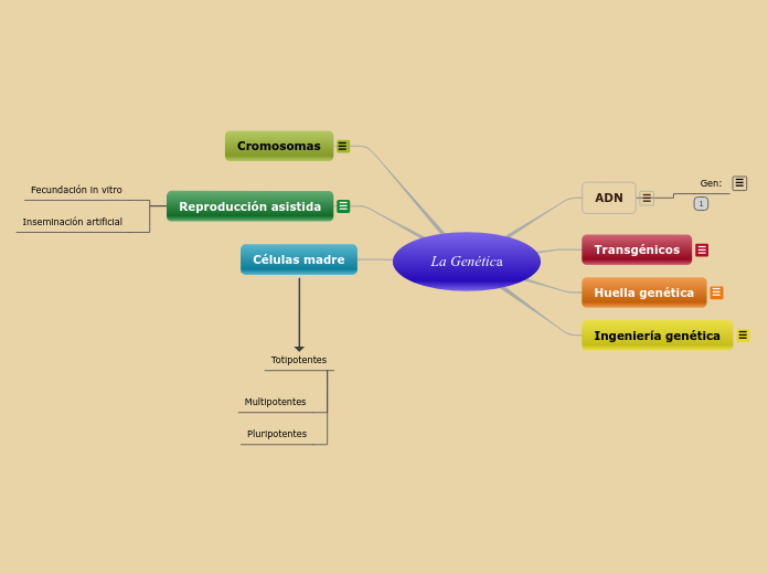 La Genética - Mapa Mental
