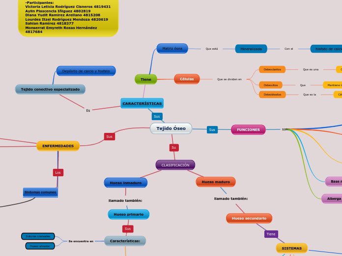 Tejido Óseo - Mapa Mental