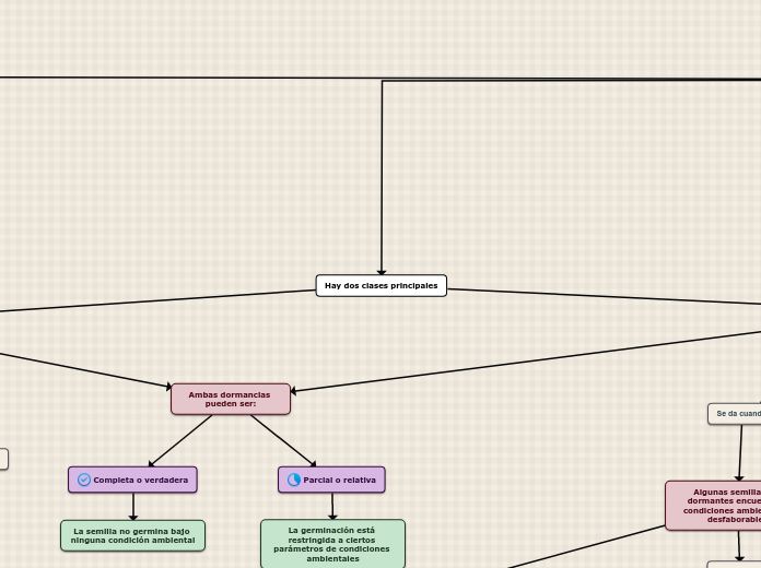 Hay dos clases principales - Mapa Mental