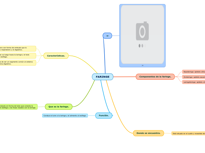 FARINGE - Mapa Mental