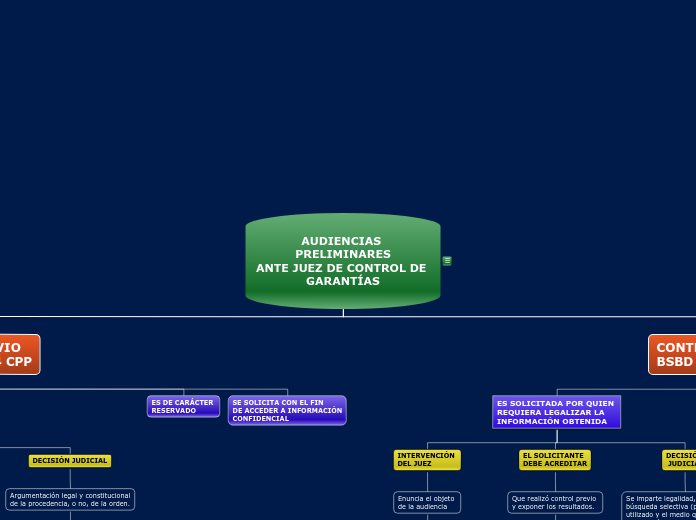 AUDIENCIAS PRELIMINARES
ANTE JUEZ DE CO...- Mapa Mental