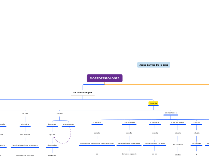 MORFOFISIOLOGIA - Mapa Mental