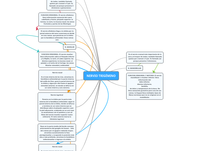 NERVIO TRIGÉMINO - Mapa Mental