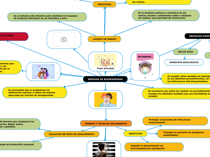 MEDIDAS DE BIOSEGURIDAD - Mind Map