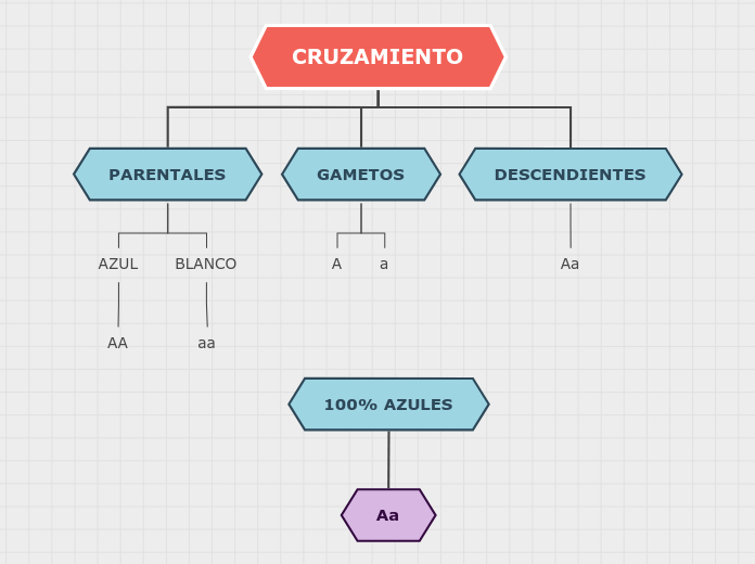 CRUZAMIENTO - Mapa Mental