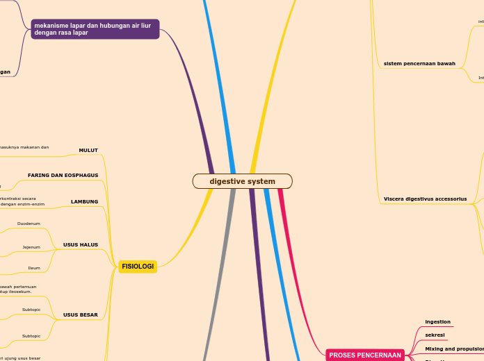 digestive system - Mind Map