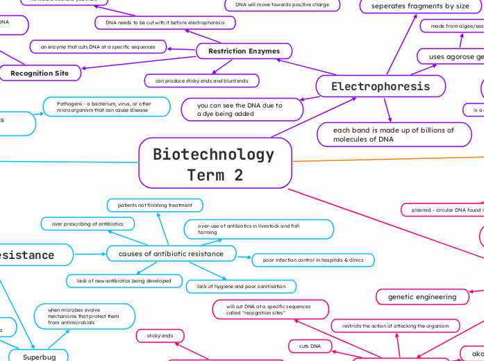 Biotechnology Term 2 - Mind Map