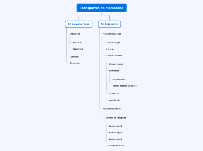 Transportes de membrana - Mapa Mental