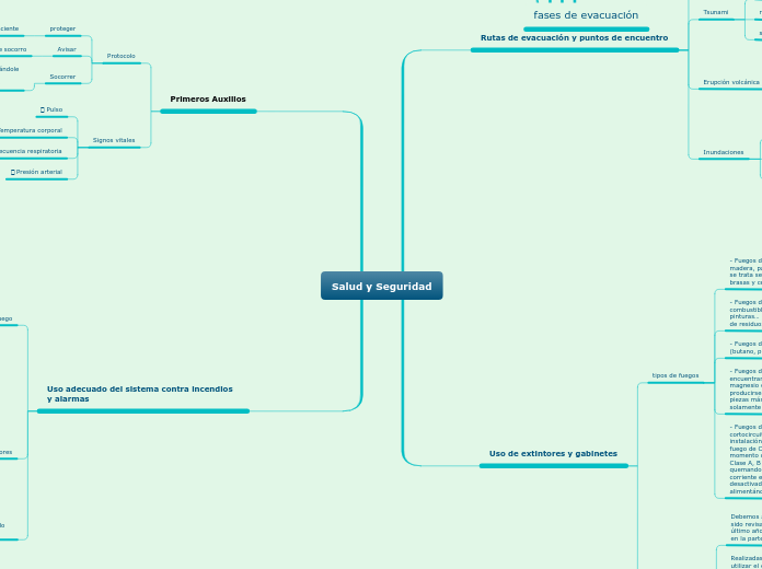 Salud y Seguridad - Mapa Mental