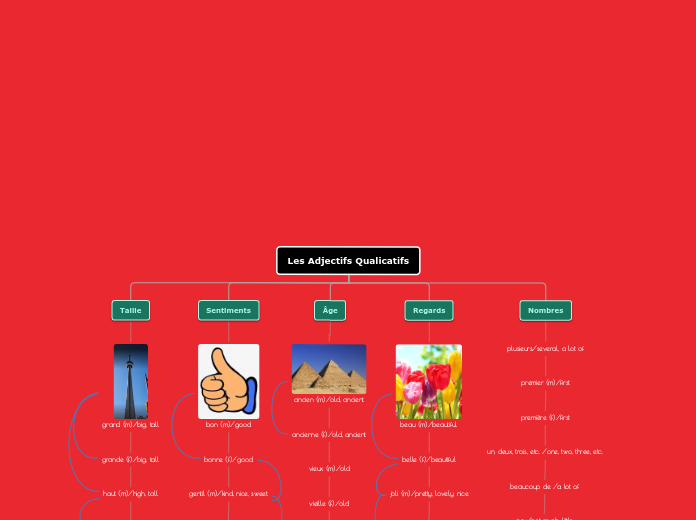 Les Adjectifs Qualificatifs