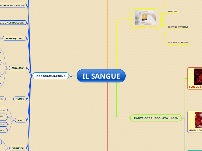 IL SANGUE - Mappa Mentale