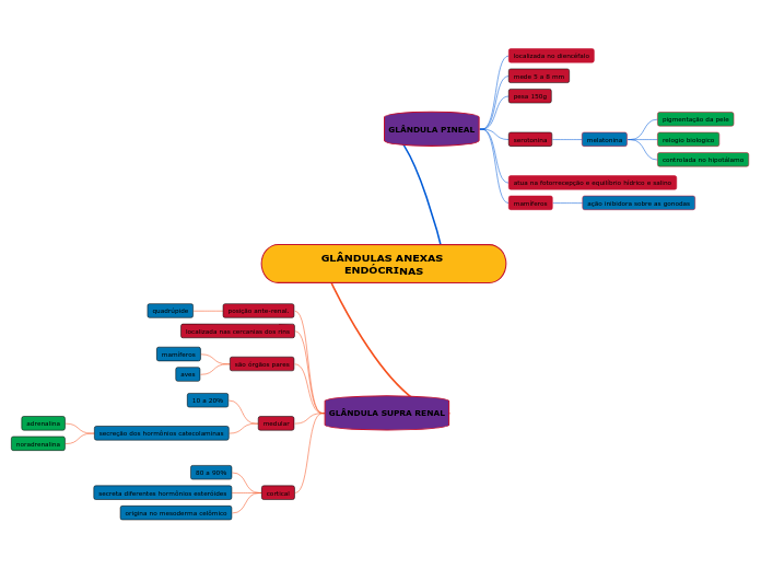 GLÂNDULAS ANEXAS ENDÓCRINAS
