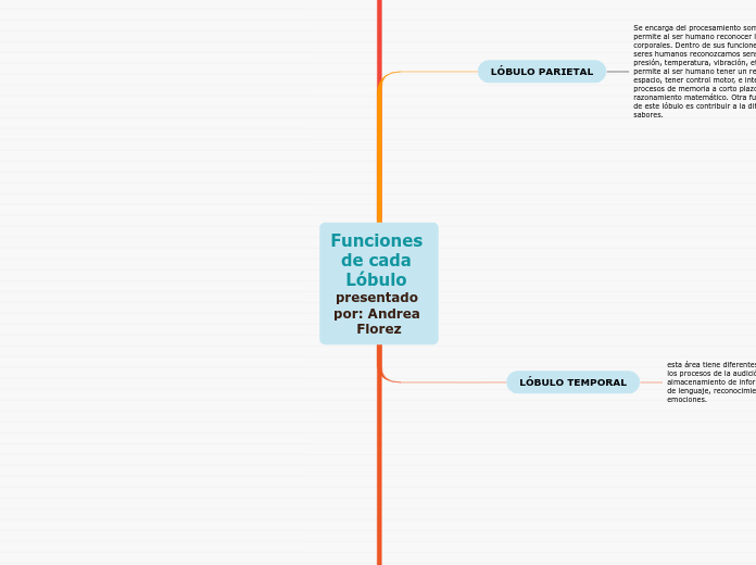 Funciones de cada Lóbulo presentado por: Andrea Florez