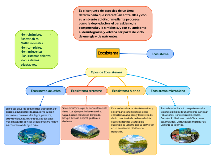 Ecosistema - Mapa Mental